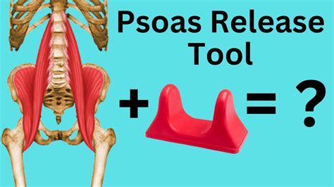 Psoas release Mobility tools : r/HipImpingement